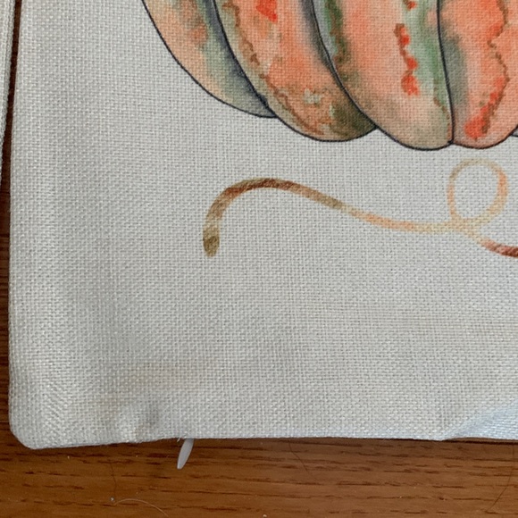 3/$15 Set of 4 Pumpkin Themed Decorative Pillow Covers Size 18x18 - Picture 2 of 2